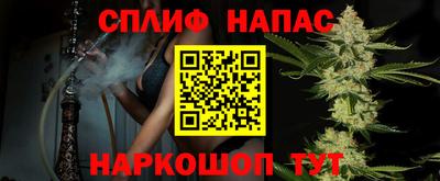 прущие грибы Бузулук