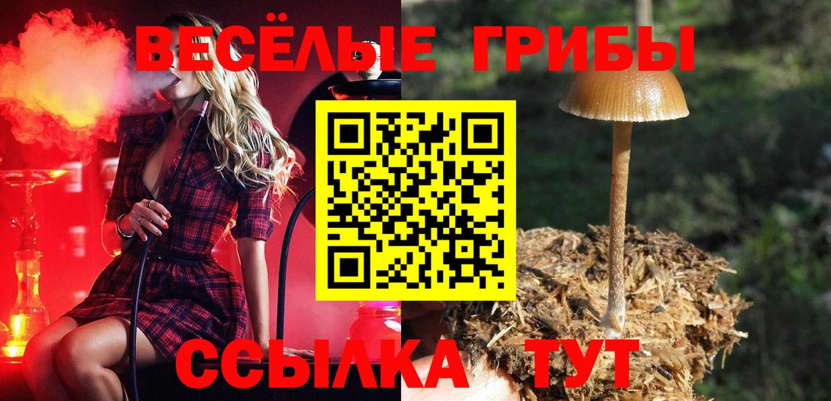 Саров  Псилоцибиновые грибы Magic Shrooms  Вход с VPN 