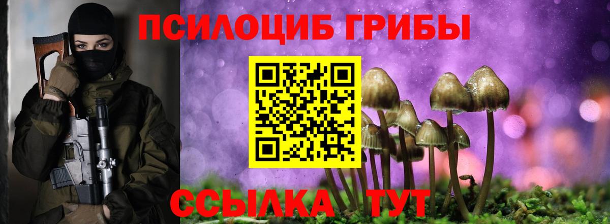 Псилоцибиновые грибы Psilocybe Саров