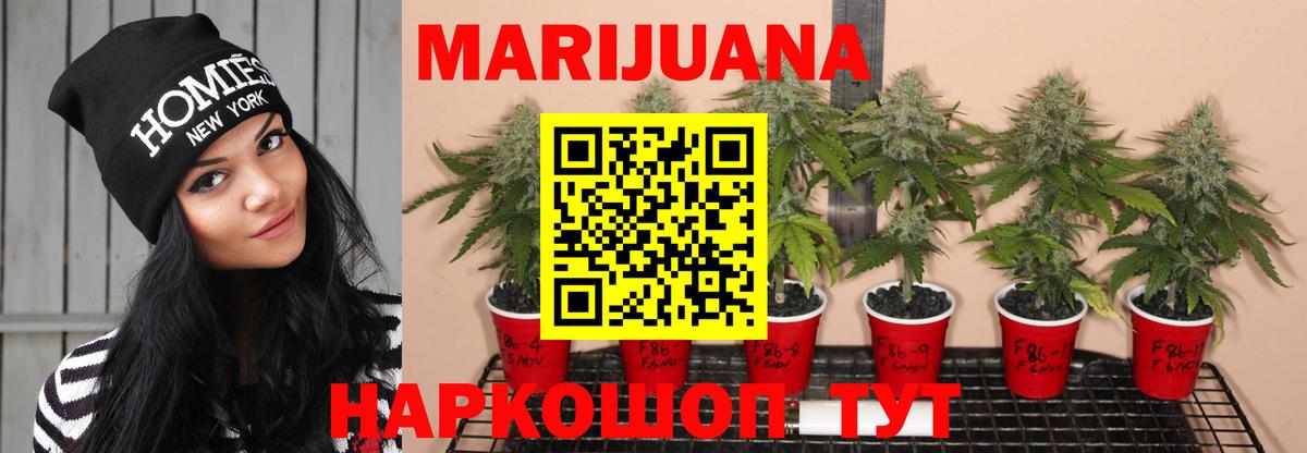 Бошки марихуана SATIVA & INDICA Саров
